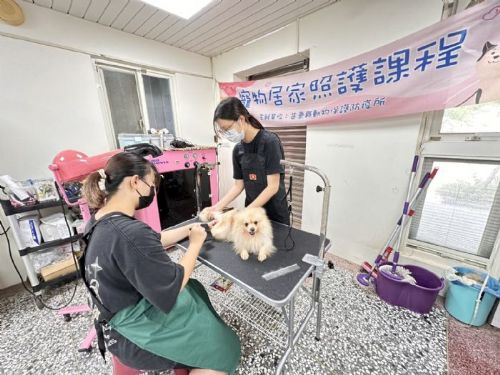 浪犬也能變明星!苗栗動保園區導入專業寵物美容服務,讓毛孩展現自信迎向幸福新家 浪犬也能變明星!苗栗動保園區導入專業寵物美容服務,讓毛孩展現自信迎向幸福新家